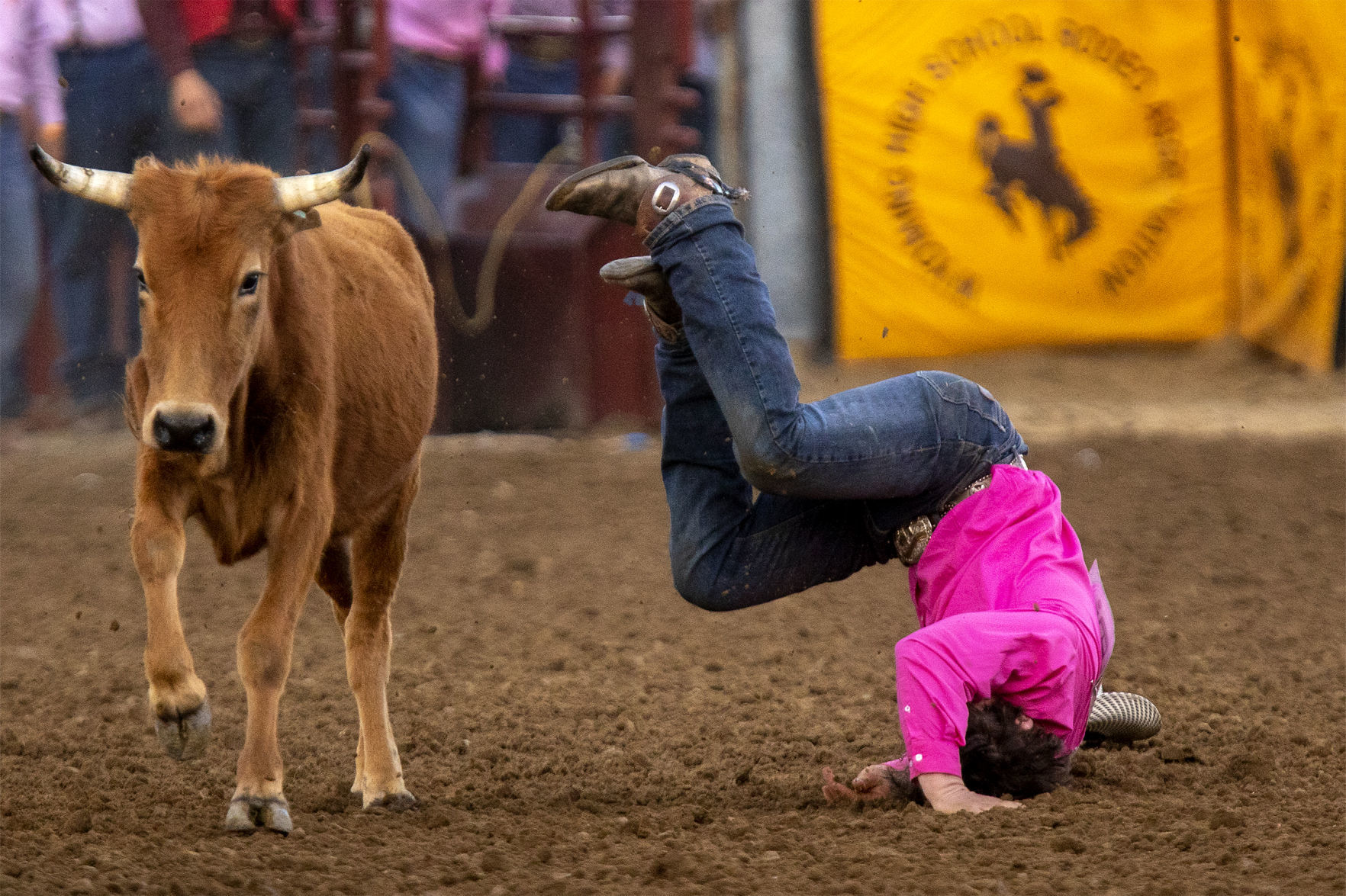 Rodeo gallery